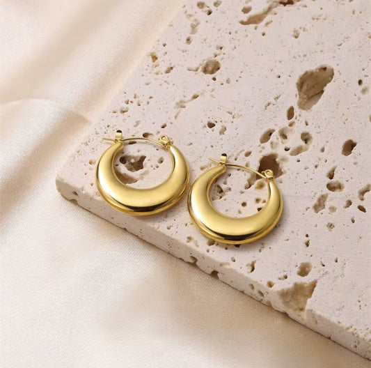 Bold Loop earrings